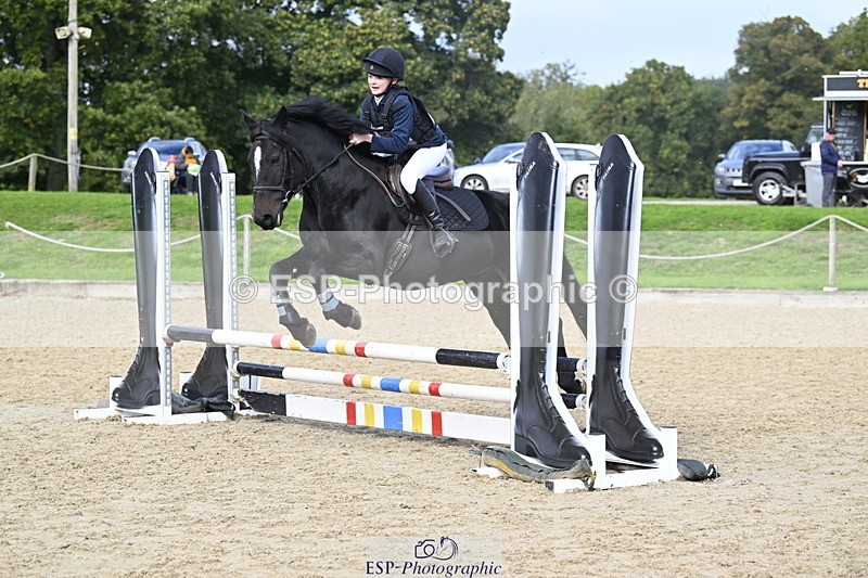 251005A-125752-03977 - Cls 08 Mini 70-75cm