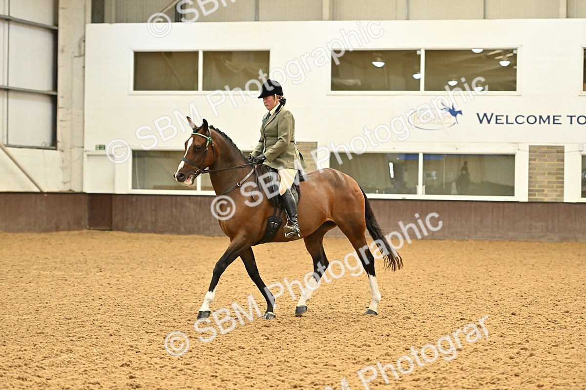 SBM_001993 - Class 24 - BSHA Ridden Racehorse to Show Horse