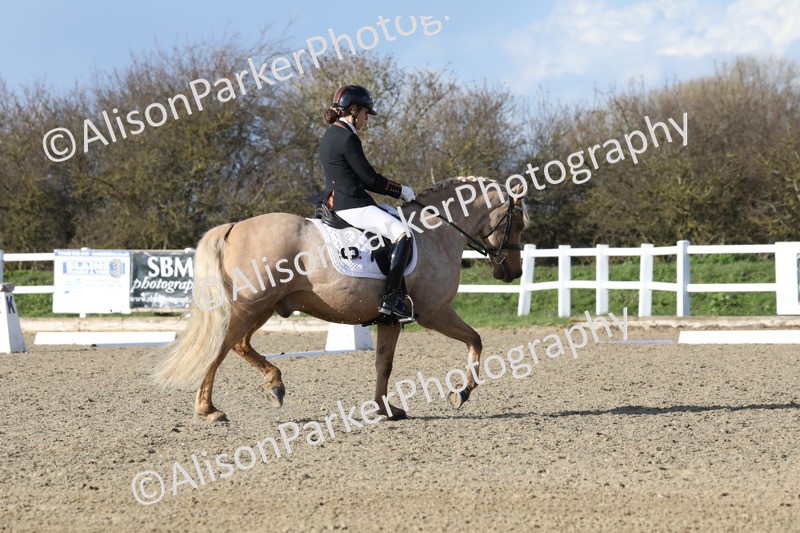 20260314-5802 - DR 7 - Elementary 1