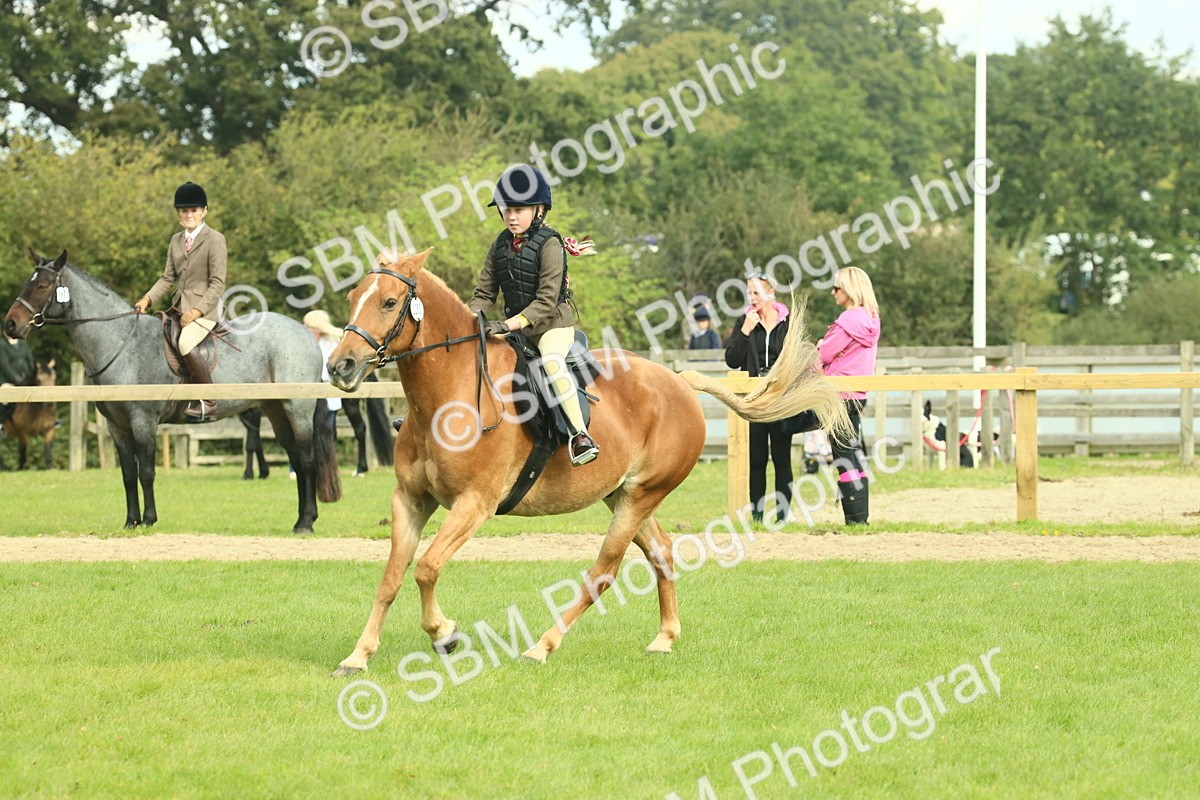 SBM_62499 - S62 - Foreign Breeds Ridden