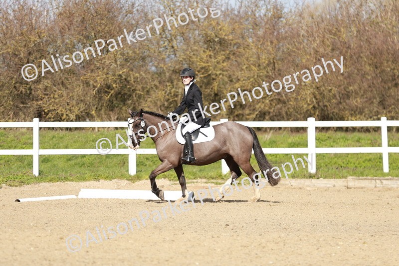 20260314-2945 - DR3 - Prelim 1