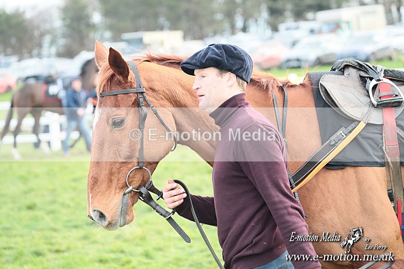 PtP 141225  2213 - New Forest Hounds PtP Larkhill 14/12/25