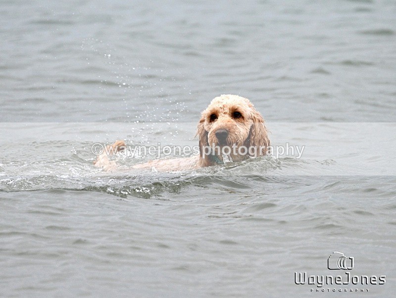 WJ7_9853 - Hayling Island Beach Shoot 22-09-24