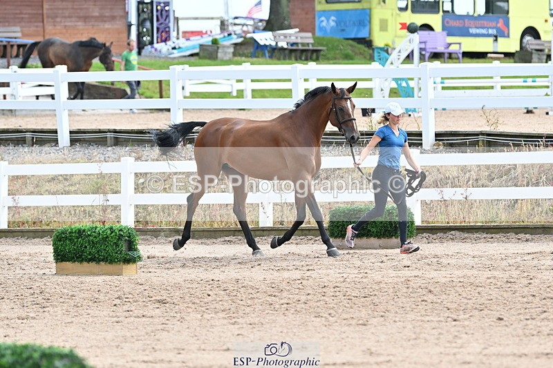 240717A-142836-02079 - Trot Up 2pm to 3pm - This folder is not in time order