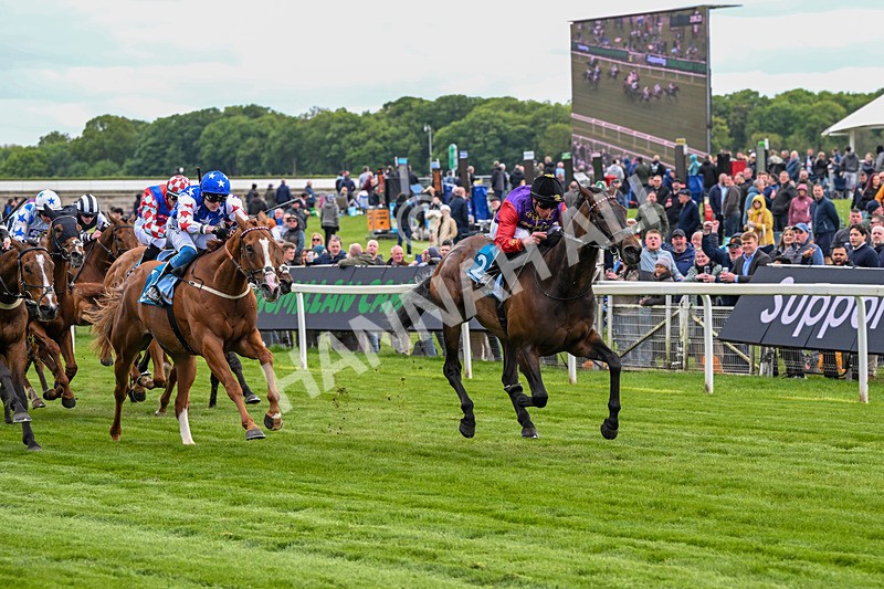 150526-Race 3-Warrant Holder-7544 - Race 3 2.55pm Support Macmillan Charity Raceday On 13 June Handicap