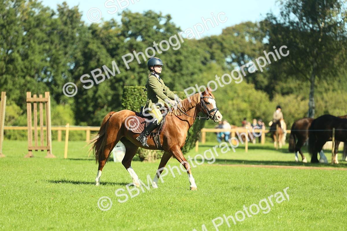 SBM_37434 - S29 - Novice & Newcomers Working Hunter Pony