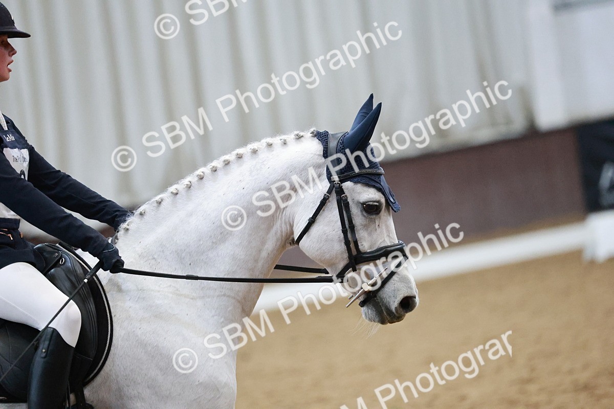 SBM_004604 - Ring 3 - International -  Working Hunter Classes 23-2-25