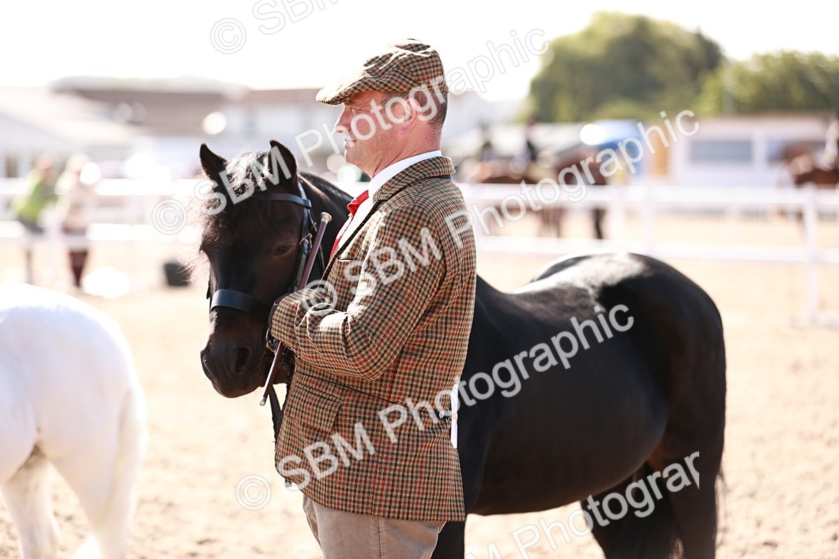 SBM_22818 - Class 705 - IH Combination 65+