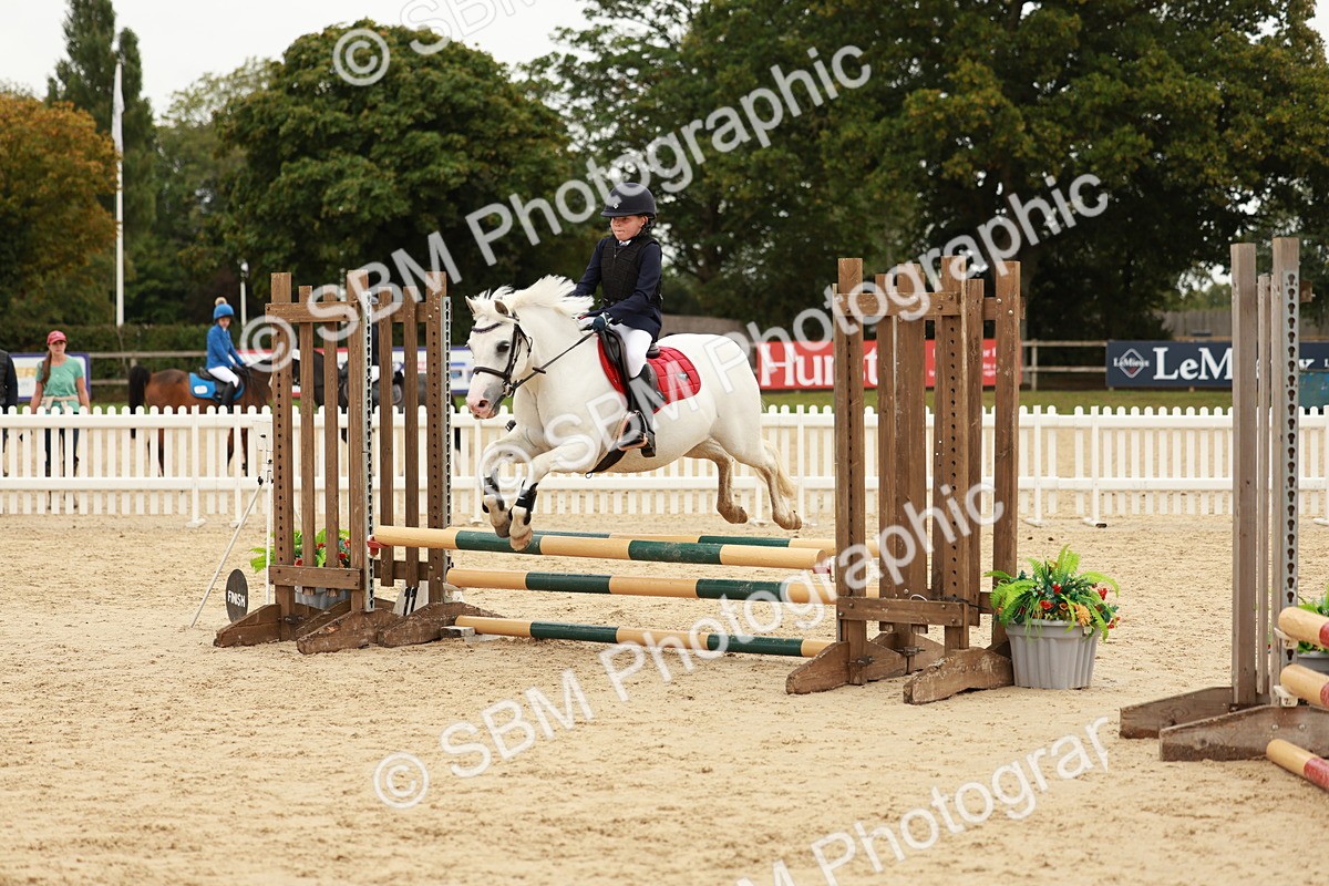 SBM_61803 - J12 - Junior Pony 55cm Championship