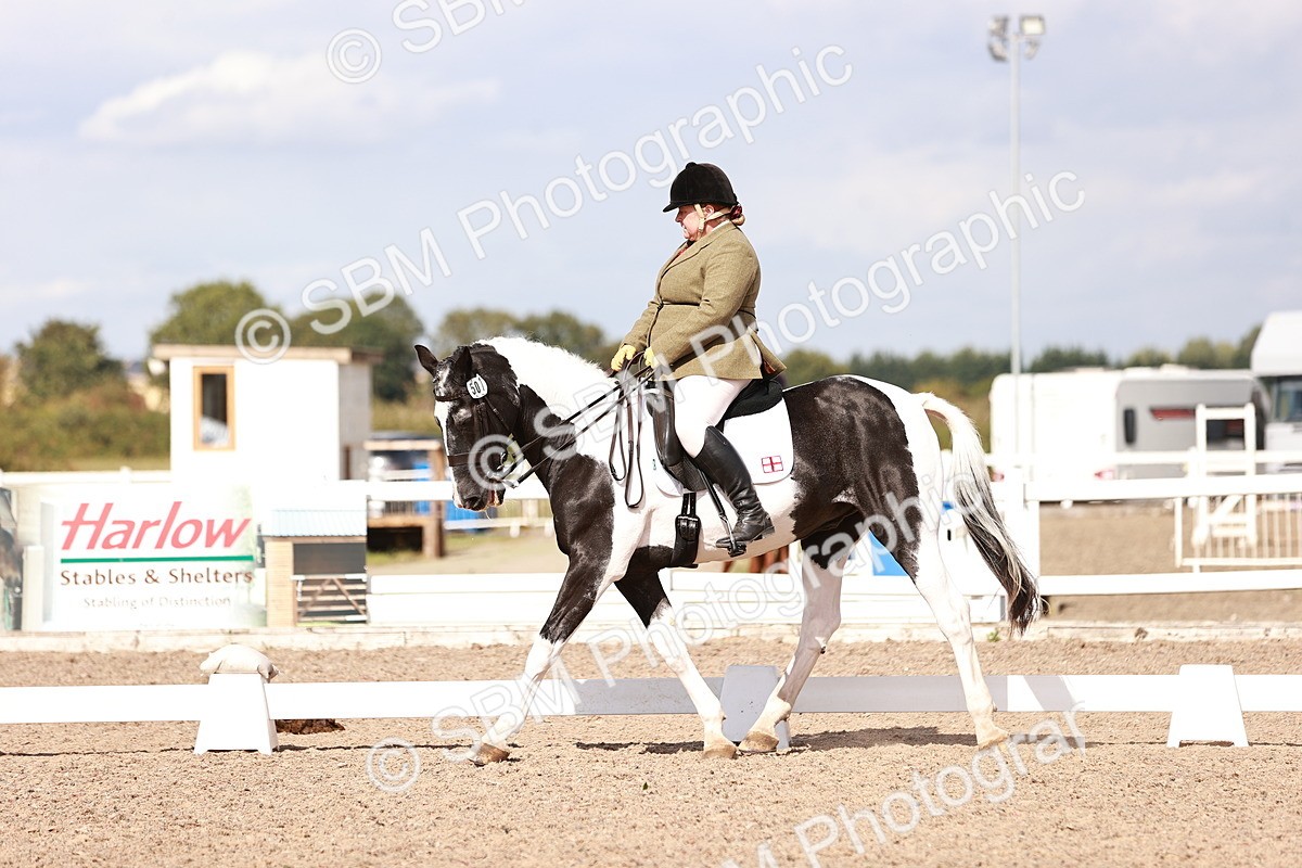 SBM_06593 - Class 39 - Medium 3