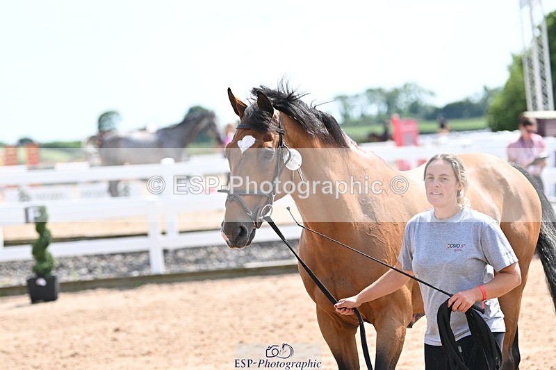 240717A-150337-02497 - Trot Up 3pm to 4pm