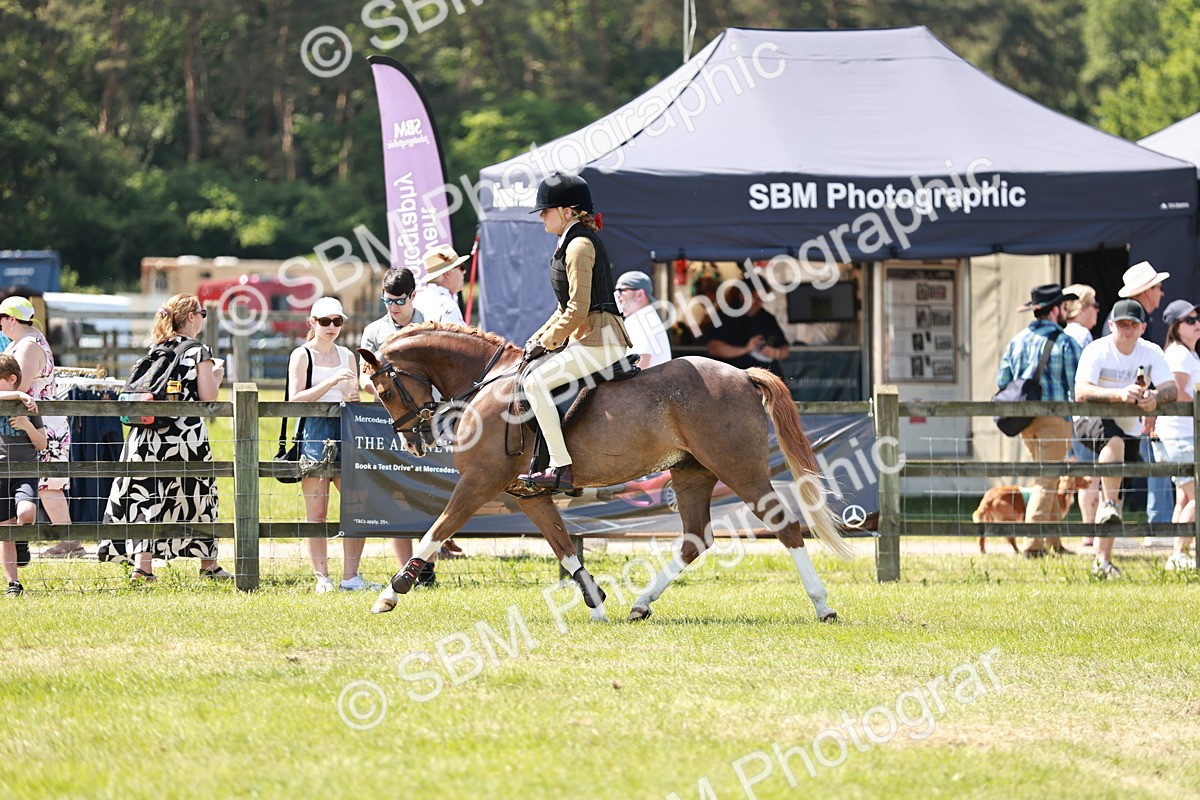 SBM_15650 - Class 108-109 - BSPS LIHS Open Gradle & Nursery Stakes