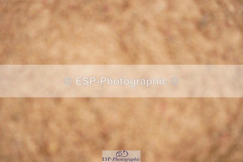 240524A-131308-03797 - Cls 16 Snr 1.20m Open