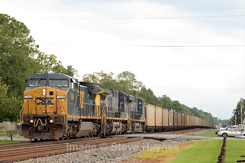 8th Aug 2017 - Folkston Funnel, GA