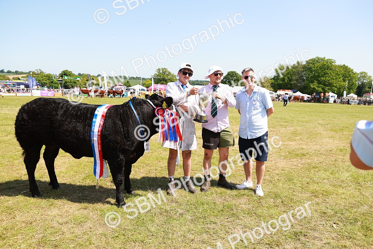 SBM_16447 - Grand Parade