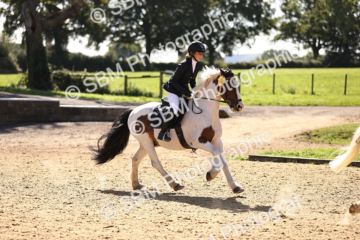 SBM_38622 - J39 - Senior 85cm Championship