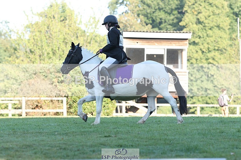 250823A-084018-25748 - Arena D