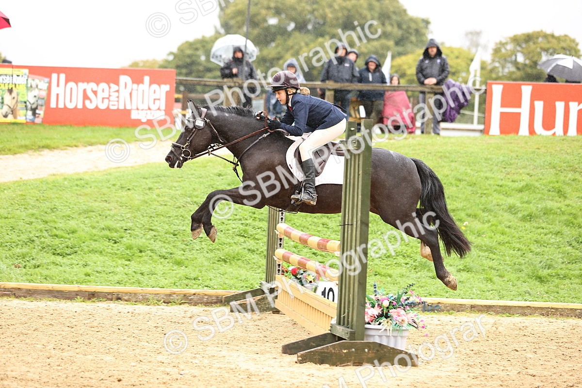 SBM_69982 - Supreme Championship 80cm 85cm