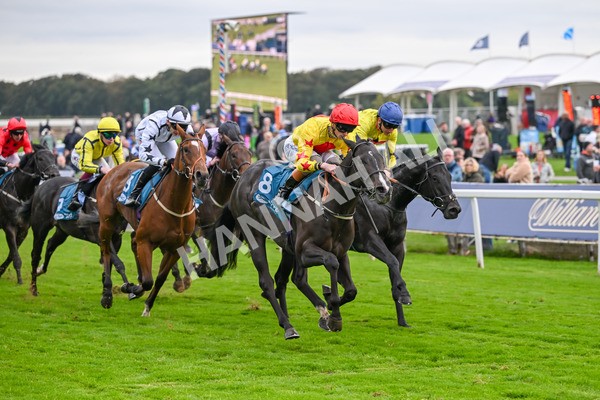 101025-Race 5-Go Vince Go-6988 - Race 5 Parsonage Hotel And Cloisters Spa Nursery Handicap at York