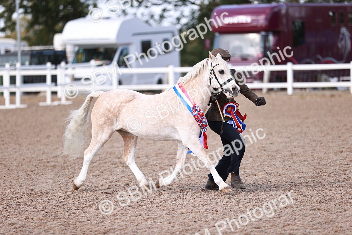 SBM_22928 - Class 706 - IH Veteran