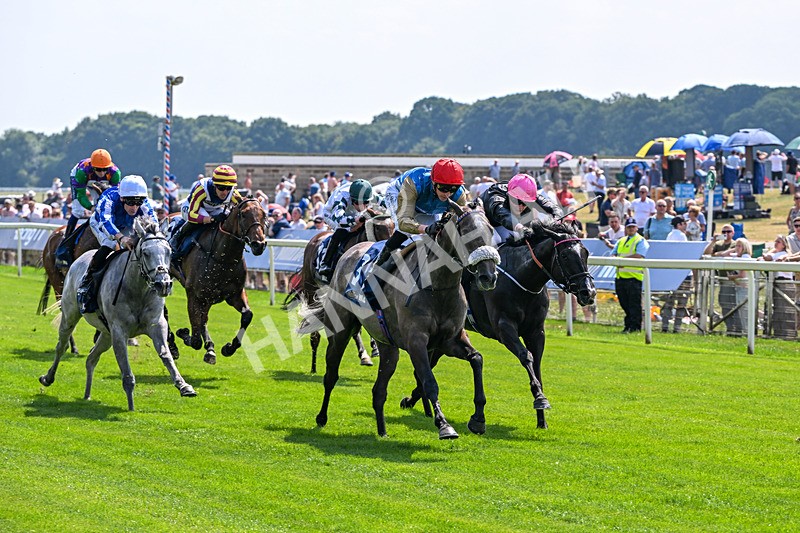100726-Race 2-Flora Of Bermuda-9657 - Race 2 14.45pm William Hill Summer Stakes
