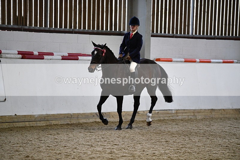 WJ5_7852 - Class 13 Ridden Part Breed