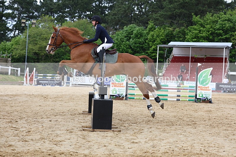 3E7A6259 - Class 4: Senior British Novice/90cm open