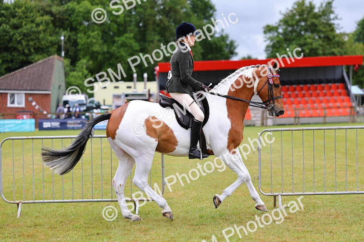 SBM_02507 - Class 9-11 Side Saddle including LIHS Rising Star Ladies Show Horse