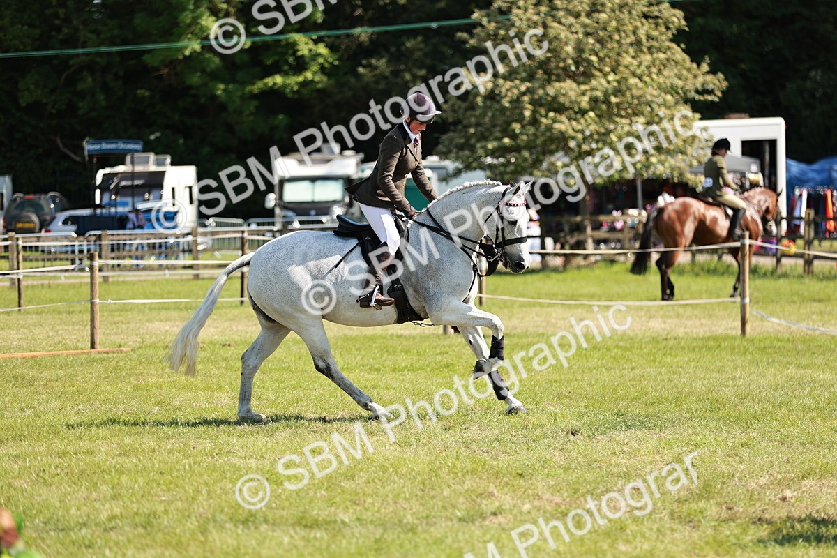 SBM_18863 - Class 114 - RIHS & SEIB Open Working Show Horse