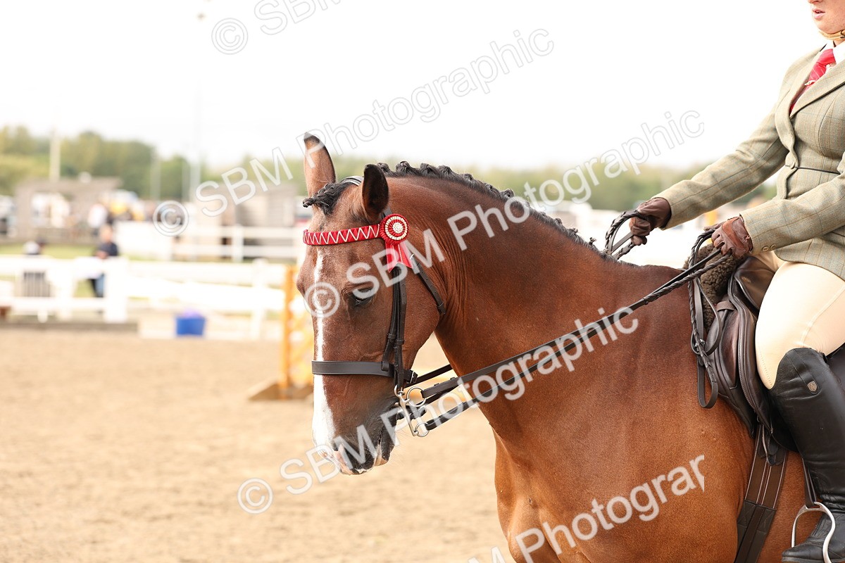 SBM_01517 - Class 52 - Ridden Veteran