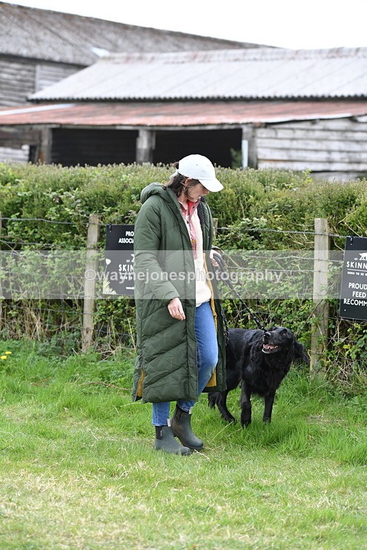 WJ5_9081 - Class 1 Best Cross Breed / Heniz 57