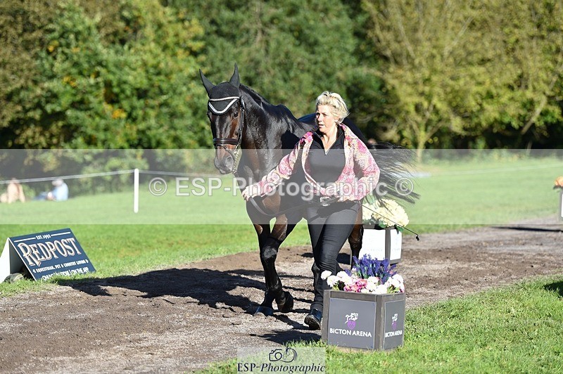 231022-104652-22735 - 464-IMPERIAL.TANGLE-Deborah.Burrell-TrotUp+SJ