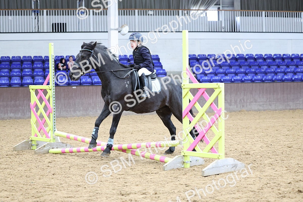 SBM_006888 - Class 1 - 40cm showjumping