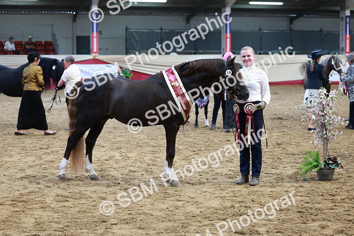 SBM_17612 - Class 951 - M&M IH Supreme Final