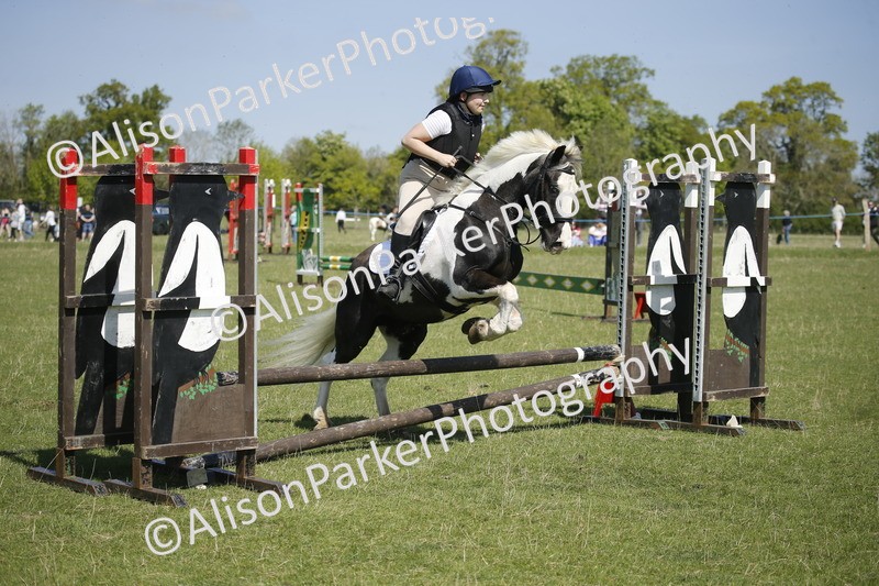 20250427-2225 - Class 13 - Novice Jumping 60cm