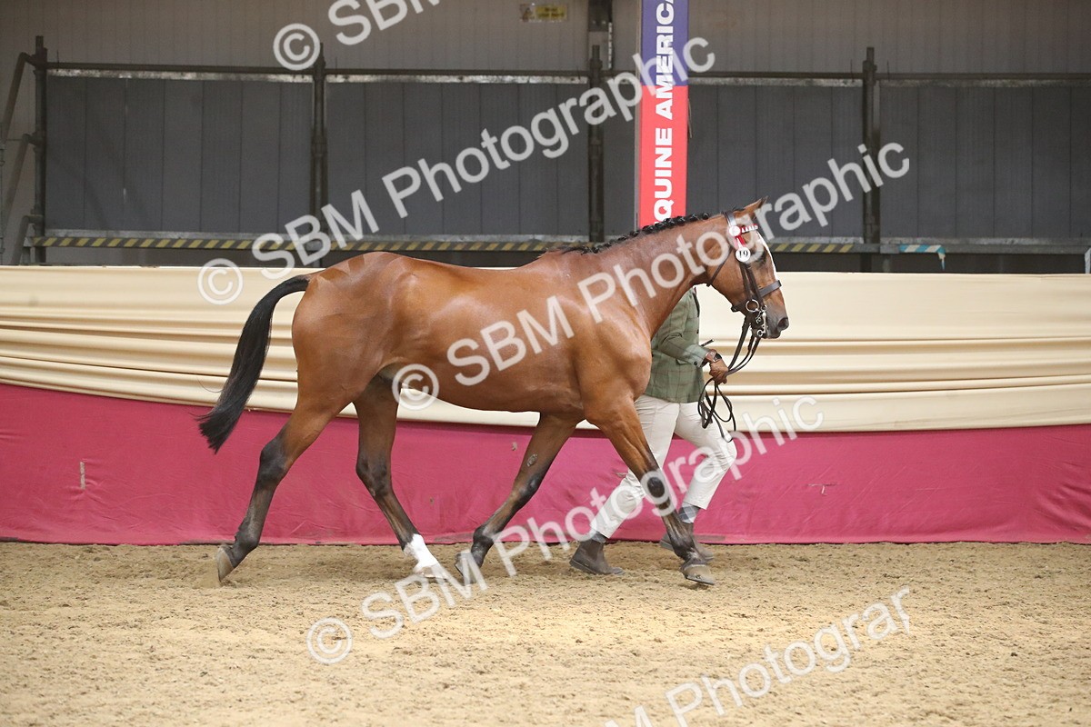 SBM_05506 - Class 9R - Regional IH Pre-Vet