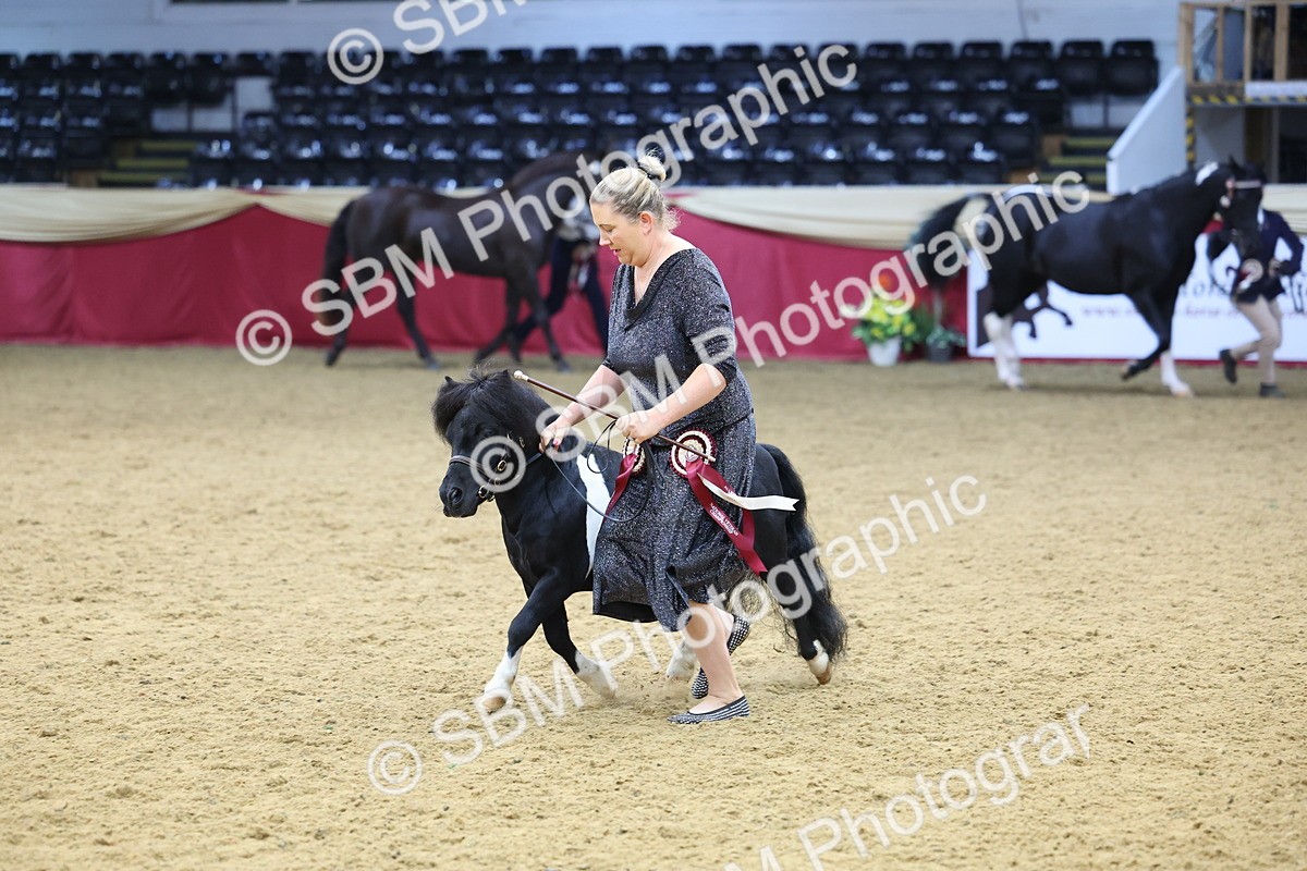 SBM_23044 - Class 903 - Supreme Final - IH Pre Vet