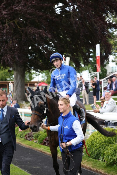 yr10062022r4-32 - Race 4 3.30pm Seat Unique Ganton Stakes