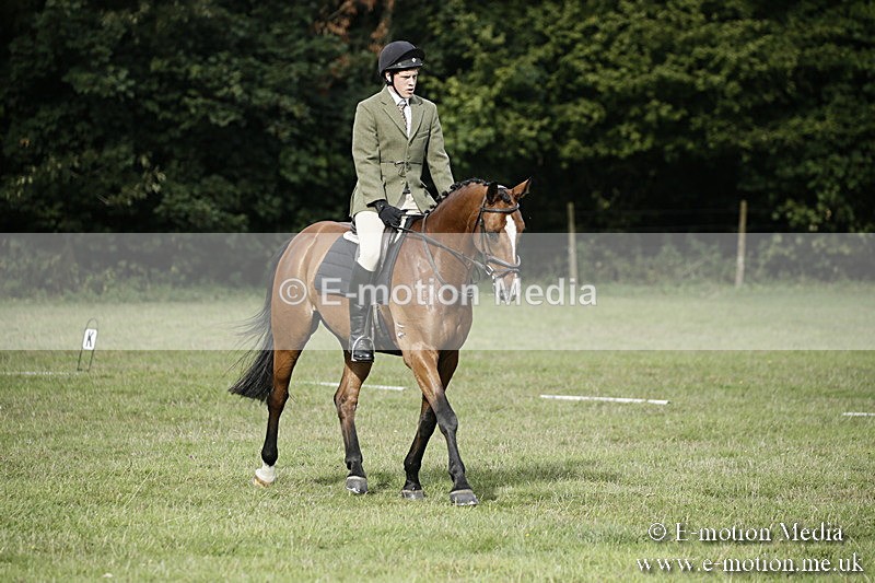 BVR090918 95 - BVRC Dressage and Show Jumping 09/09/18