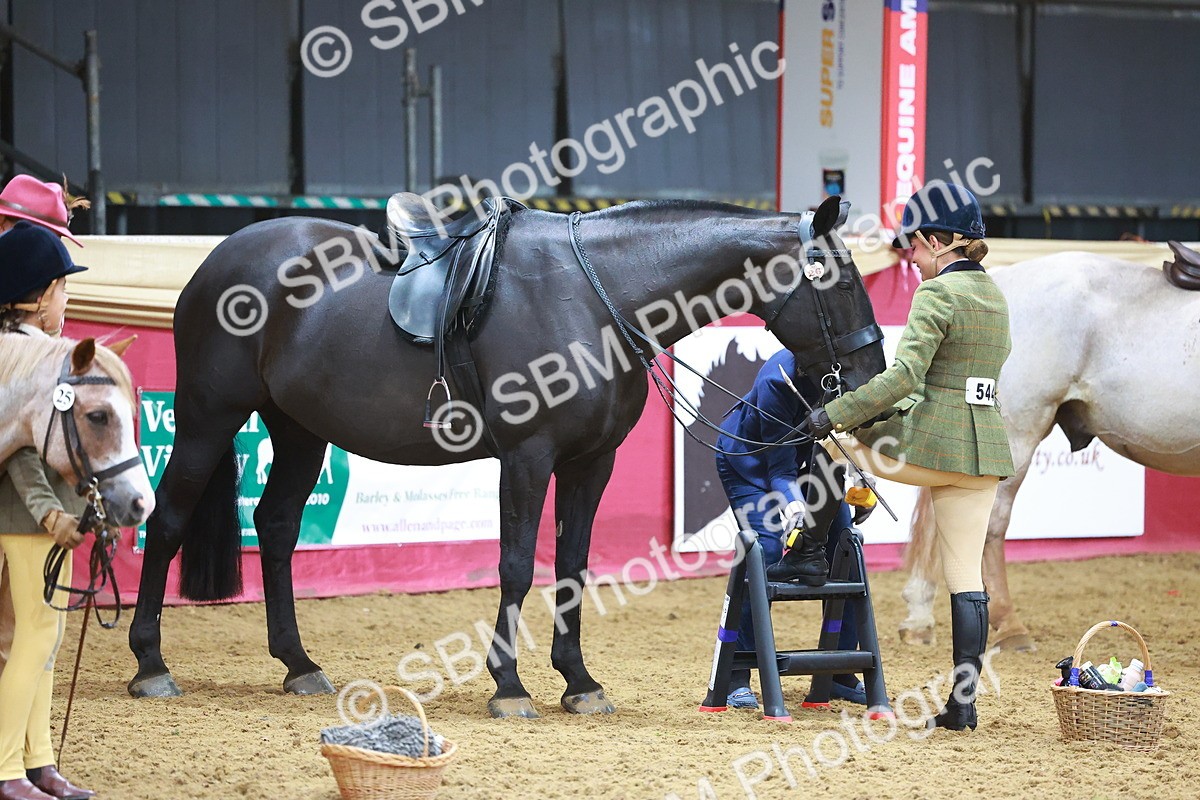 SBM_07712 - Class 101 - HOYS Veteran Qualifier - Ridden Diamond