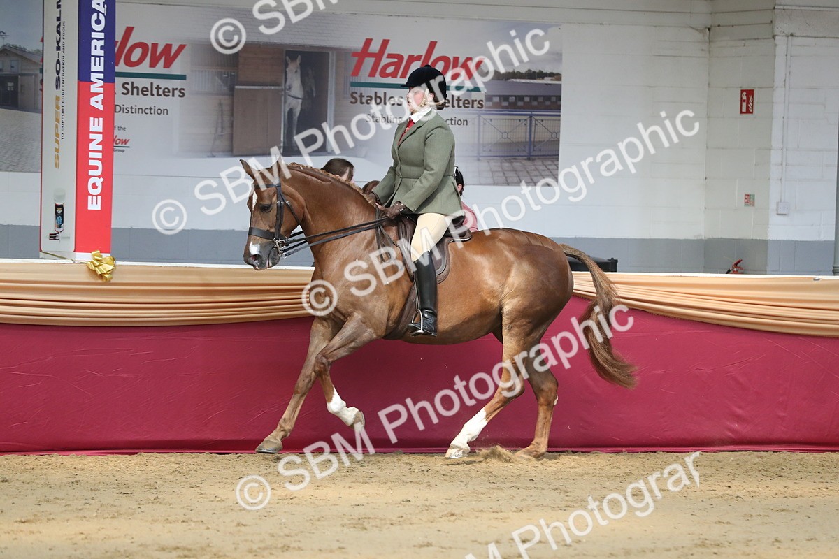 SBM_02907 - Class 6a Area Ridden Pre Vet