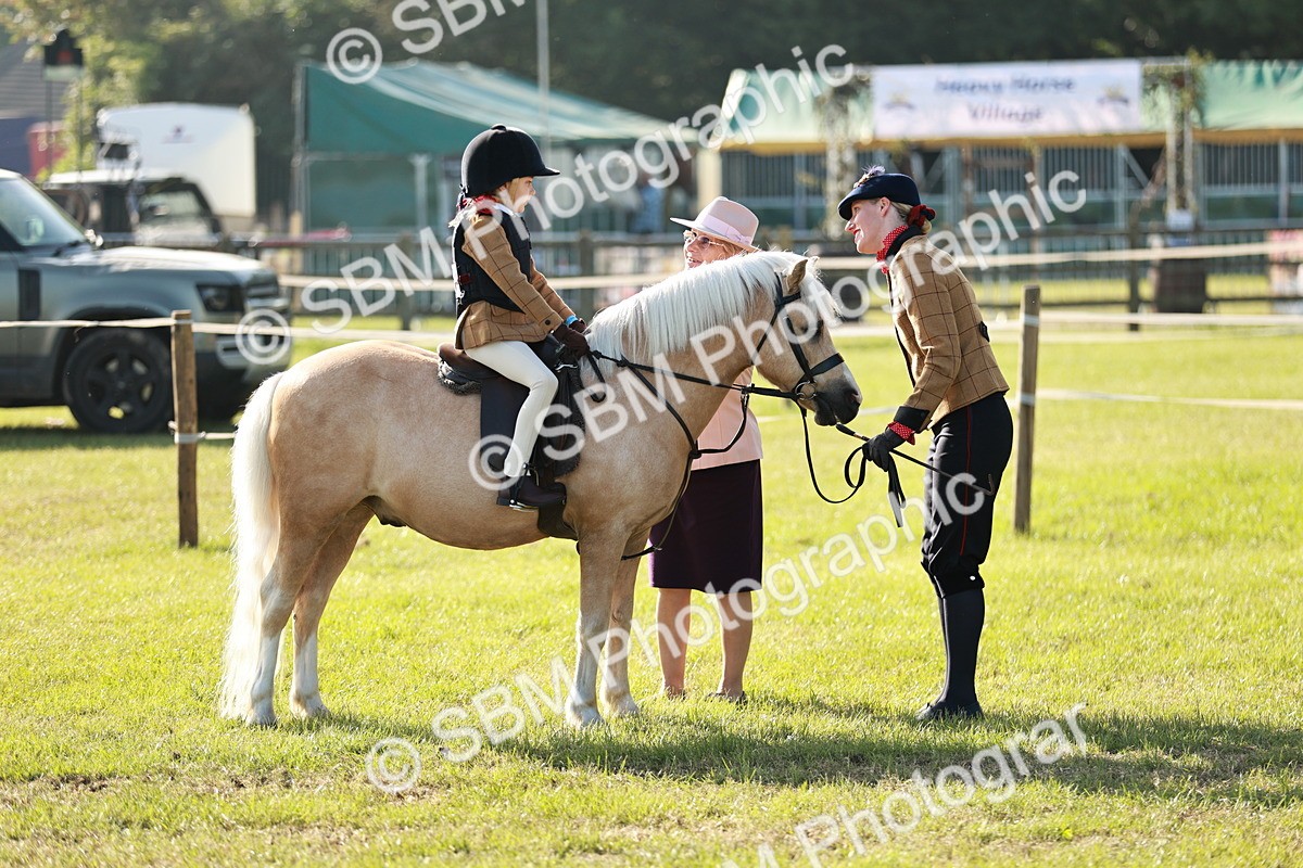 SBM_11114 - Class 106-107 - BSPS LIHS Working Sports Pony