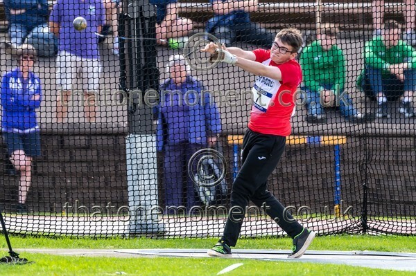 SIAB23-514711 - Field Male Set One