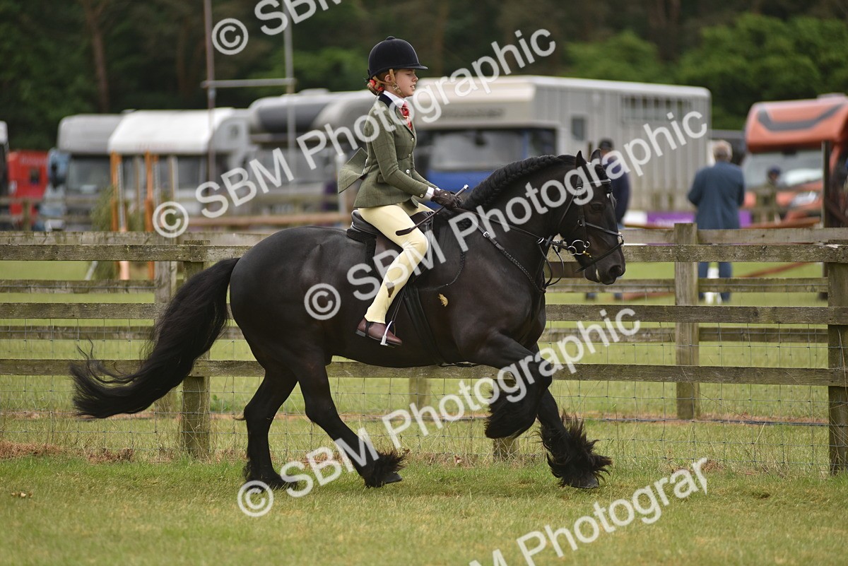 SBM_12006 - Class 110-112 - LIHS BSPS Performance Pones