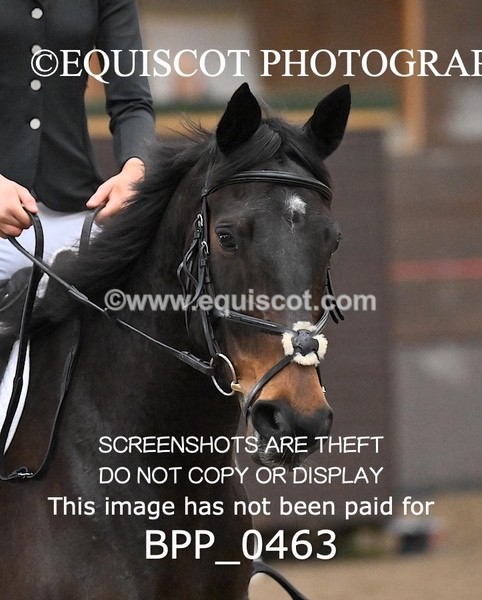 BPP_0463 - 3 - K YUILLE