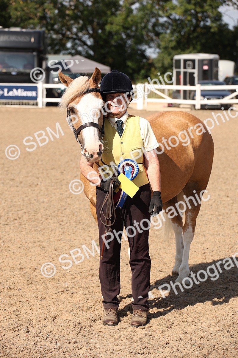 SBM_02823 - Class 16 IH M&M Wildcard