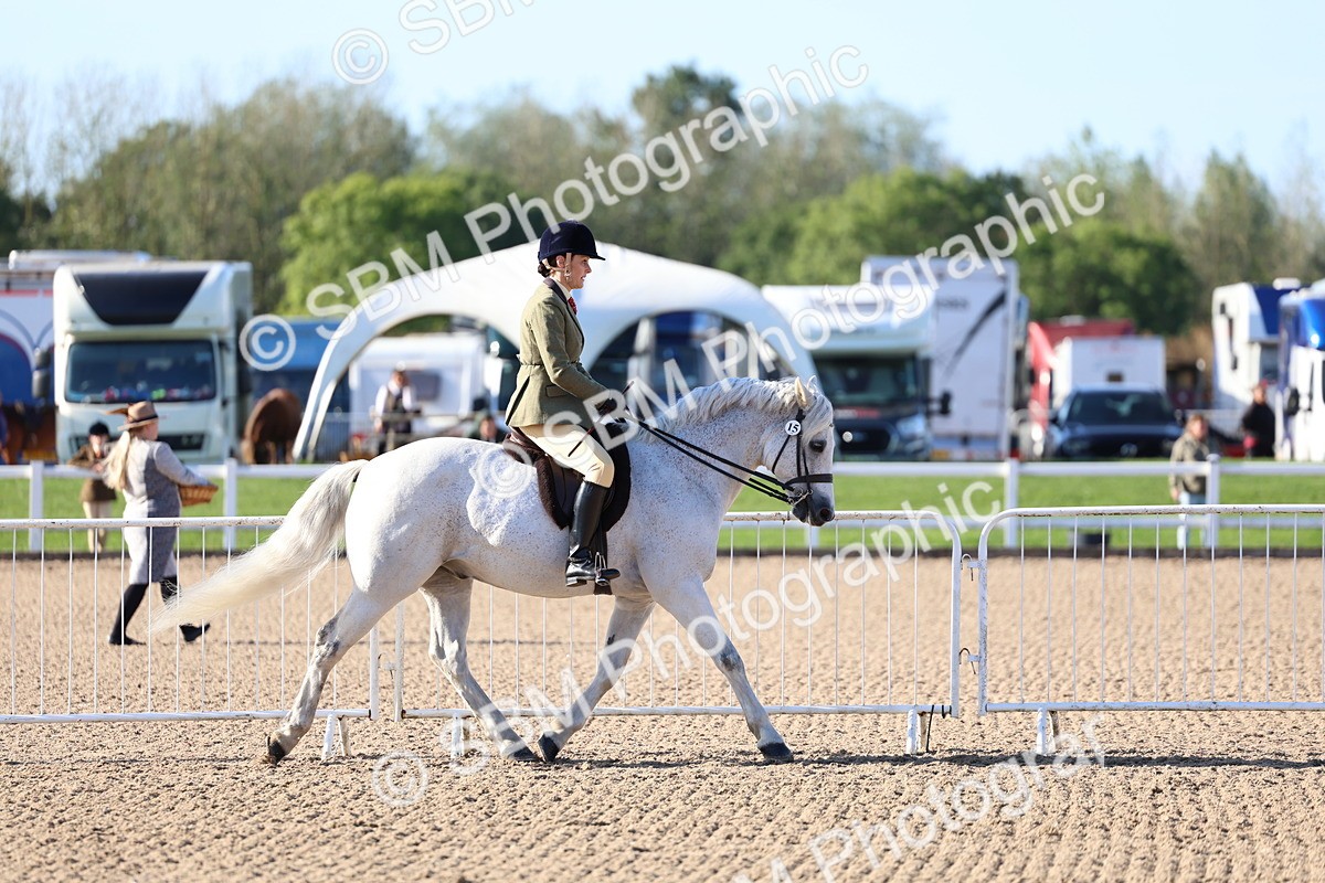 SBM_08852 - Class 302 - Ridden M&M - Large Breeds