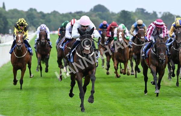 230825-124 Ethical Diamond - Race 4 3.35pm Sky Bet Ebor Handicap