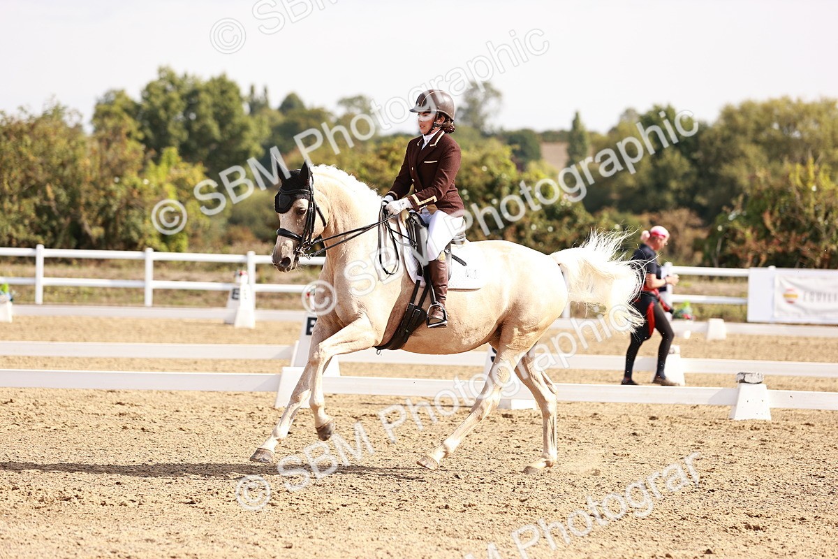 SBM_017024 - Class 10 - Medium 6