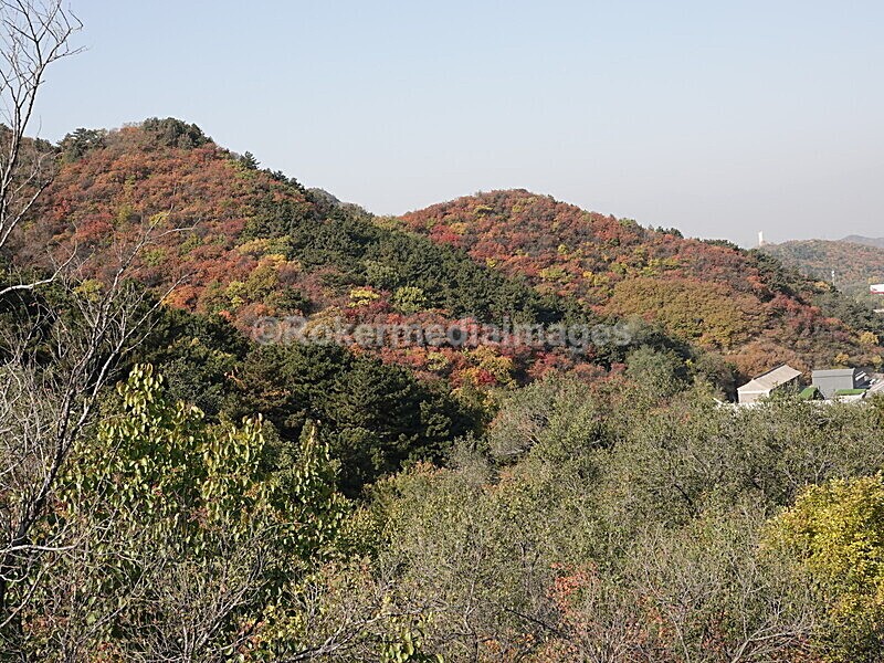 CHINA__1222 - China 2019